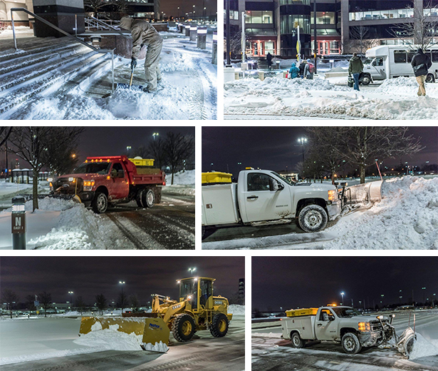 DSCC Snow Warrior image collage