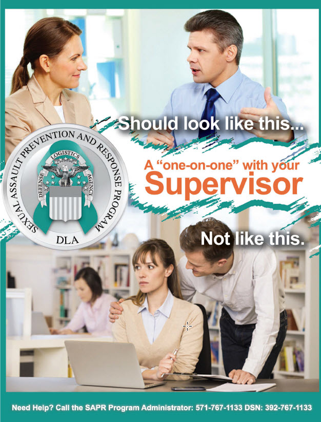 DLA SAPR Program Poster depicting what a 