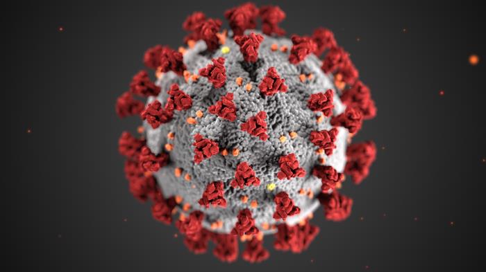 Image of the coronavirus